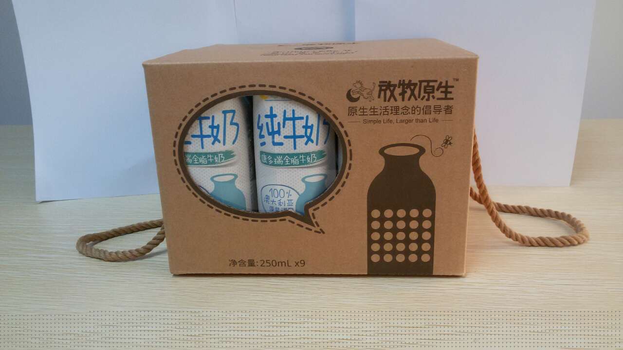康多瑞250ml全脂礼盒