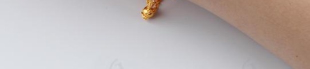 吉上吉推荐足金24K珠子手链女AU999精品专柜人气手腕链圣诞礼物