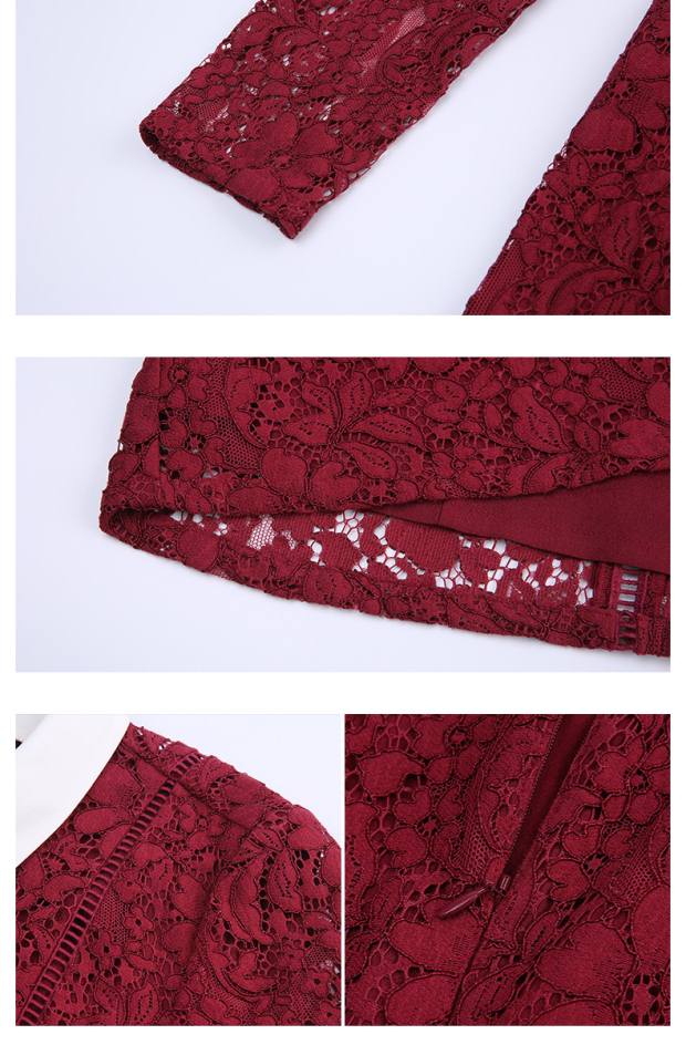 YINER音儿2017春装新款 蕾丝钩花气质翻领修身连衣裙8C57105280配